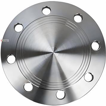 Blind Flanges Full-Dimensional Solution: From Technical Parameters To Industry Practice