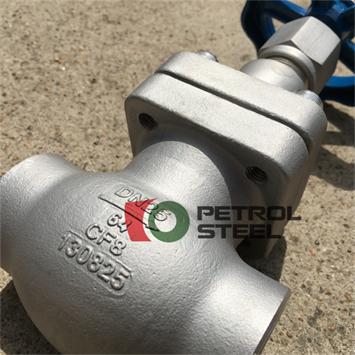 -196 Celsius degree Cryogenic Globe Valves